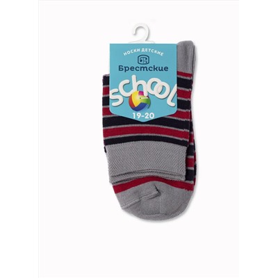 БРЕСТСКИЕ Носки SCHOOL 3081 (с рисунком)