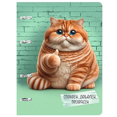 Тетрадь со сменным блоком 100л клетка на 4 кольцах с пластиковой обложкой "Прекрасен" ТКП1005526 Listoff