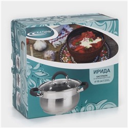 Кастрюля Катунь «Ирида», 2.9 л, d=18 см, капсульное дно, индукция, нержавеющая сталь