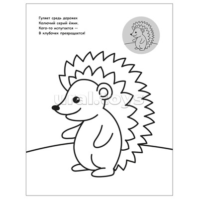 Раскраска для малышей с наклейками. В лесу