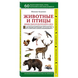 Эксмо Михаил Куценко "Животные и птицы. Дикие обитатели русского леса"