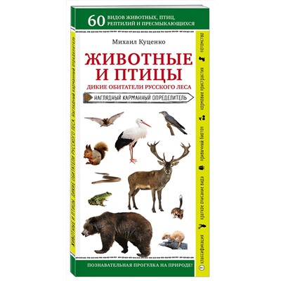 Эксмо Михаил Куценко "Животные и птицы. Дикие обитатели русского леса"