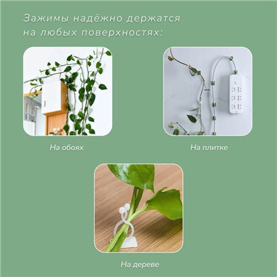 Крепления для вьющихся растений, настенные, самоклеящиеся, «Улитка», d=10 мм, набор 10 шт., Greengo