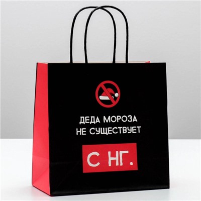 Пакет подарочный новогодний «Деда мороза не существует», 22×22×11 см