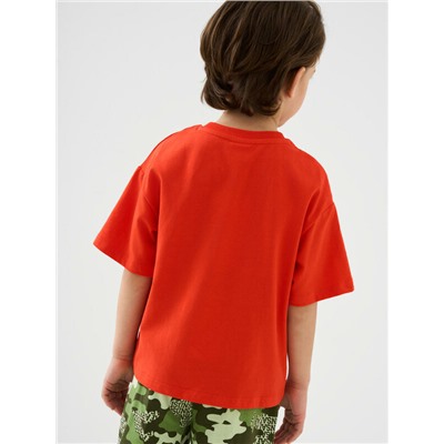 Фуфайка трикотажная для мальчиков (футболка)