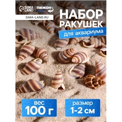 Набор ракушек, 1 - 2 см, 100 г