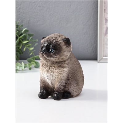 Копилка для денег «Котенок Васька сиамский», гипс, 16 см