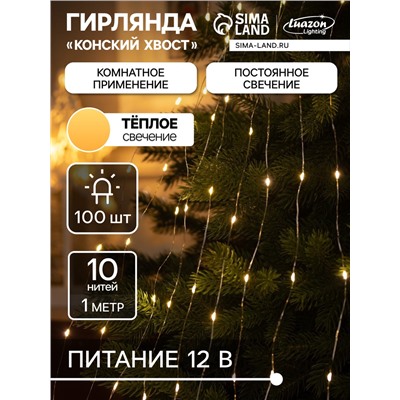 Гирлянда «Конский хвост» 10 нитей по 1 м, IP20, серебристая нить, 100 LED, свечение тёплое белое, 12 В