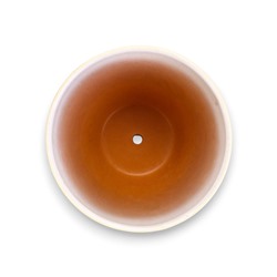 Горшок для цветов «Тропики », 5 л, d=22 см, h=19.5 см, с поддоном, керамика, белый