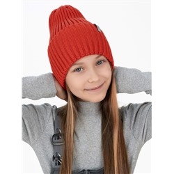 Утёнок Шапка