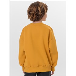 СВИТШОТ ДЛЯ МАЛЬЧИКОВ 123487