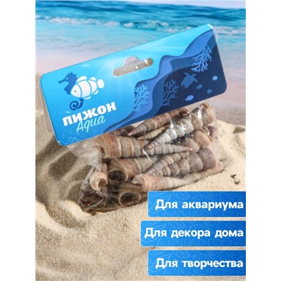 Набор ракушек, 3 - 5 см, 100 г