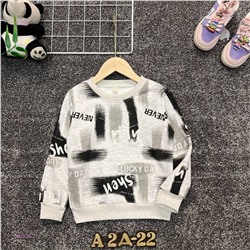 Толстовка 1981329-2