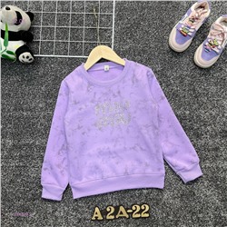 Толстовка 1981346-2