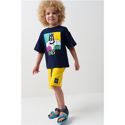 Комплект трикотажный для мальчиков: фуфайка (футболка), шорты PLAYTODAY, 1239619