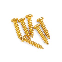 Комплект одиночной колковой механики Music Life, золотистые, 3+3