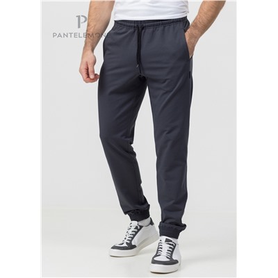 PDB-251 (Брюки мужские, PanteLemone )