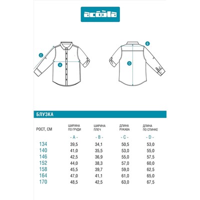 Блузка ACOOLA, 1039049