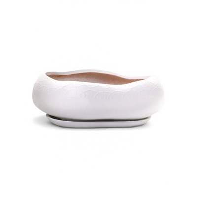 Горшок для кактусов и суккулентов «Бонсай», 2.5 л, 28×24×11 см, керамический, с поддоном, белый