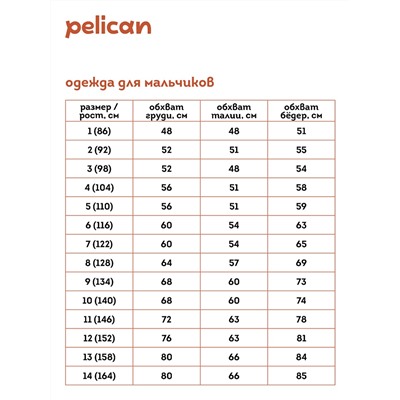 BFNK3352/1 (Толстовка для мальчика, Pelican )