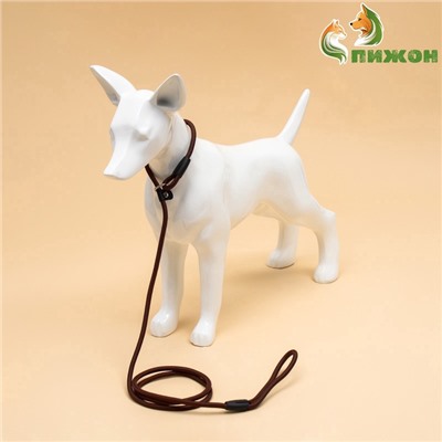 Ринговка для собак, 130×0.6 см, коричневая