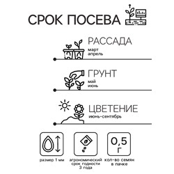 Семена цветов душистый горошек «Шоколадный крем», 0.5 г