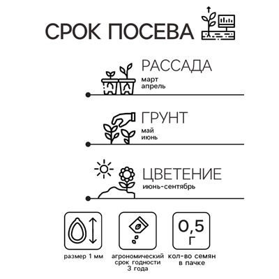 Семена цветов душистый горошек «Шоколадный крем», 0.5 г