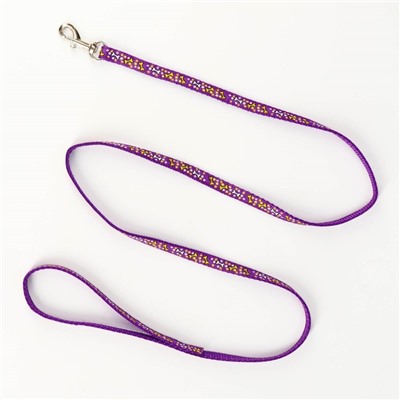 Шлейка с поводком «Звёздные косточки», 23-35 см, ширина 1 см, поводок 120 см, фиолетовая