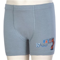 3680 Боксеры многоцвет (BAYKAR)