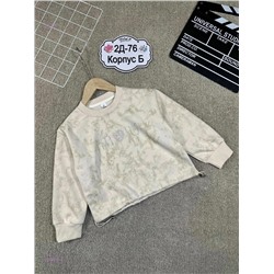 толстовка 2055748-2