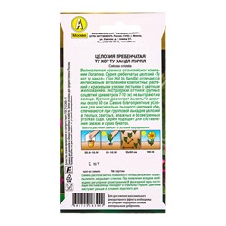 Семена цветов Целозия гребенчатая Ту хот ту хандл пурпл  С. Floranova Золотая серия, Ц/П,5 шт. 10945