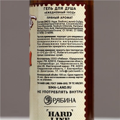 Гель для душа «С Новым Годом, бро!», 100 мл, аромат пряный, Чистое счастье