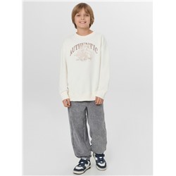 СВИТШОТ ДЛЯ МАЛЬЧИКОВ 123495