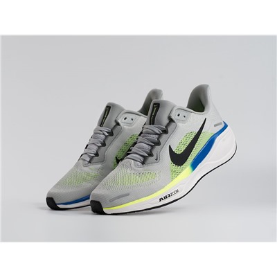 Кроссовки Nike Air Zoom Pegasus 41