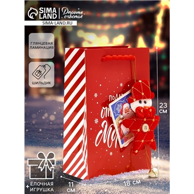 Пакет подарочный «Новогодний подарок», с ёлочной игрушкой и шильдиком, 18×23×11 см