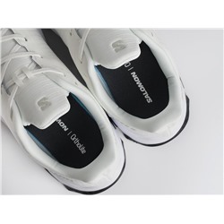 Кроссовки Salomon Alphacross 5 GTX
