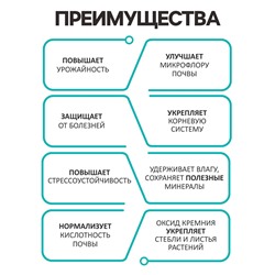 Диатомит «Рецепты Дедушки Никиты» сушеный, фр 2-4, 1 л