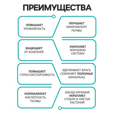 Диатомит "Рецепты Дедушки Никиты" сушеный, фр 2-4, 3 л