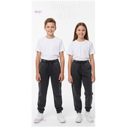 штаны 2052433-2