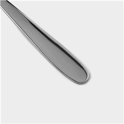 Набор ложек столовых Доляна «Симпли», длина 20.5 см, 6 шт., нержавеющая сталь, серебристый