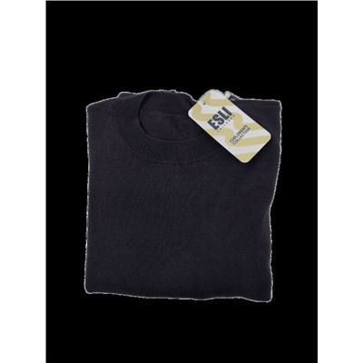 ESLI 24С-15СП Джемпер для мальчика