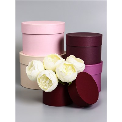 Набор круглых подарочных коробок 5 в 1« Лаванда», 20×19×14 - 15×15×10 см