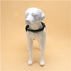 Шлейка улучшенная К7 мягкая светоотражающая, размер XL, ОГ 74-92 см, вес 28-47.5 кг, зелёная