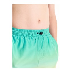 Шорты купальные для мальчика PELICAN, 1232753