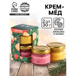 Мёд кремовый новогодний, с кусочками сублимированного апельсина, малины, набор 2 шт.×30 г