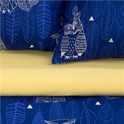Постельное бельё евро «Этель. Ушастые совы (вид 3)», бязь