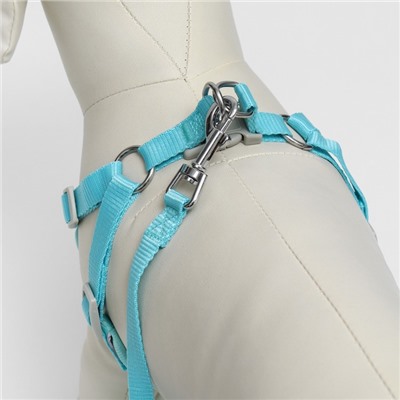 Комплект с мягкой шлейкой, быстросъемный, M, поводок 140 см, ОШ 44-48 ОГ 51-60 см, бирюзовый