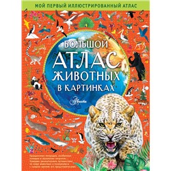 АСТ Рэйчел Уильямс, Эмили Хокинс, Люси Летерланд "Большой атлас животных в картинках"