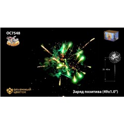 Фейерверк ОС7549 Заряд позитива (0,8" х 49)