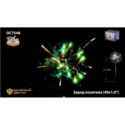 Фейерверк ОС7549 Заряд позитива (0,8" х 49)